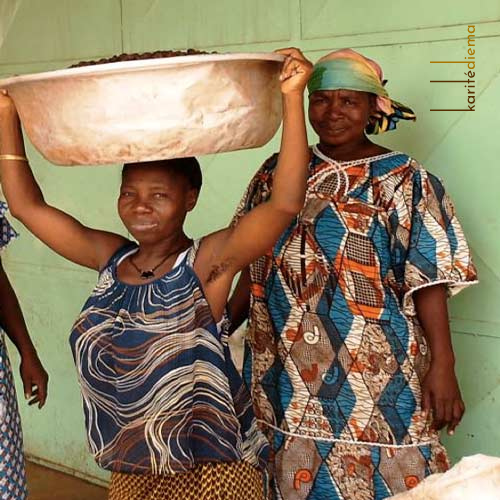 Les produits Karitédiema, à base de beurre de karité biologique, sont le fruit d'un savoir-faire respectueux de la nature et des traditions